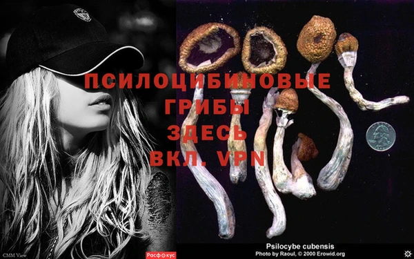 spice Ступино